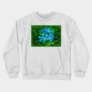 Blue Spring Crewneck Sweatshirt